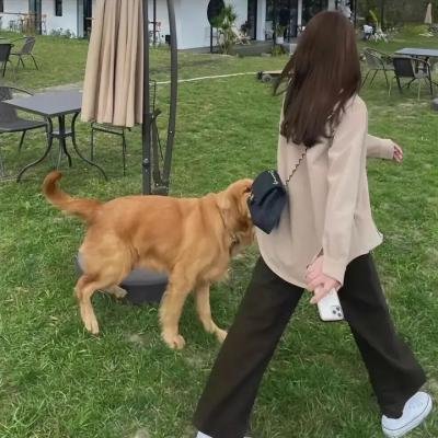狩猎的时间