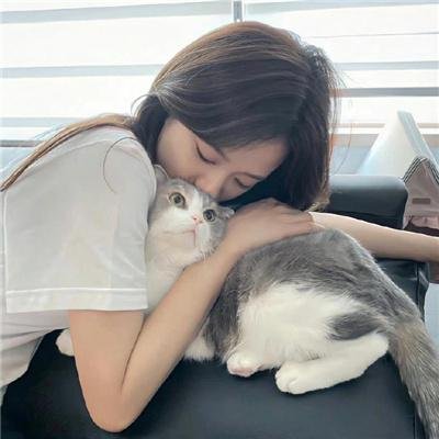 深圳之恋